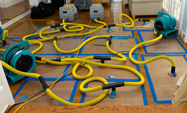 Professional Crawl Space Water Removal technician working in Adrian, MN